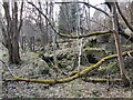 Remains of Popine Mill, Craigellachie, Banffshire in AB38 9TD