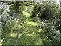 Infrequently-used farm track in SY10 8EN