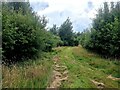 Track through Pan's Coppice in LN6 9PF