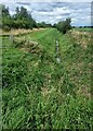 Drain alongside Pan's Coppice in LN6 9PF