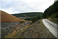 Forest road beside the Nant Bai in SA20 0NW