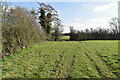 Field edge footpath in ME17 4DB