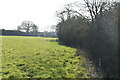 Low Weald hedge in ME17 4DB