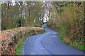 Road Through Quakers' Wood in LA12 8LA