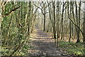 Footpath, Twelve Acre Plantation in TN11 9QA