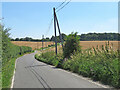 Leaning poles and a winding lane in CB11 4NF
