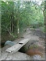 A very basic footbridge in the Island Plantation, Bicton Common in EX9 7BR