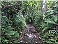 The bridleway near Peter's Finger cottage in Templeton Community