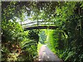 Footbridge at Hurst Mill in GU31 5RE