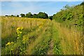 Oxfordshire Way at Bagg's Bottom in OX29 8PR