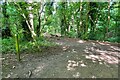Footpath through the wood to the villa in OX29 6QD
