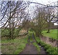 Footpath between Brighouse & Denholme Gate Road & Coley Road in HX3 7SA