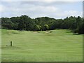 Pitreavie Golf Club, 5th Hole, Pitreavie Bank in KY11 8TL