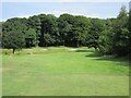 Pitreavie Golf Club, 6th Hole, Hanging Tree in KY11 8TL