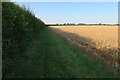 Footpath from Little Eversden in CB23 1HJ