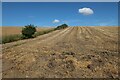 Harvested field near Croydon Hill in Croydon