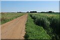 Track to Ashwood Lodge in PE32 1JT