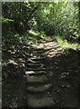 Stone-paved path through woodland in YO22 5QJ