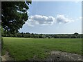 Barn Field/Middle Field/Further Field in GU28 9HJ