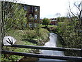 River Darwen in BB3 0PZ