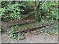 Abandoned railway track near Wheal Martyn Train in PL25 5QP