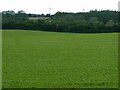Fields towards Attlebridge, and distant wind turbines in NR9 5TF
