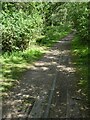 A little bit of railway track on Marriott's Way in NR9 5SP