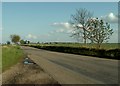 The road near Trims Green, heading towards Sawbridgeworth in CM21 0LQ