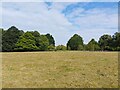 Field east of Hill House in Ashford Hill with Headley
