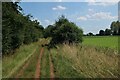 Path around Marham Fen in PE33 9JP