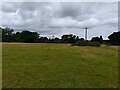 Footpath towards Withey Copse Farm in RG20 4UP