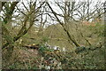 Pond, Cooper's Hatch in BN8 5AE