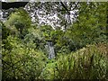 Waterfall in Hotel Endsleigh gardens in PL19 0QH