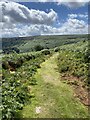 Footpath descending Blorenge. in Llanfoist Fawr Community
