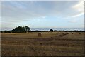 Bales near Brownhills Farm in YO19 5XG