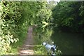 Grand Union Canal south of Tring station in Aldbury and Wigginton Ward