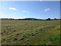 Northwest across a hayfield towards The Wrekin in TF4 2PX