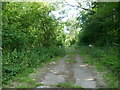 Gated track in Grafton Park Wood in North Northamptonshire