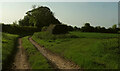 Track near Champs Farm in SP5 5RR