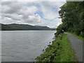 Mawddach Trail at Penrhyn Cregyn in LL42 1TL