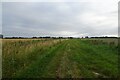 Path and bale stack beside Fleet Drain in PE12 0BT