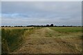 Path heading north beside Fleet Drain in PE12 0BT