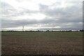 Field east of Fleet Drain in PE12 0BT