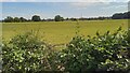 Fields near Battle Ridge in Newent & Taynton Ward