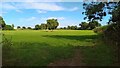 Field off Chapel Lane in GL19 3EF