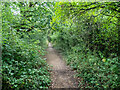 Public path at the edge of Marchwood in SO40 4UN