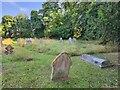 Holy Trinity, Quemerford: churchyard (1) in SN11 0AF