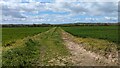 Field Beside the Ridgeway Road in HR1 3NL
