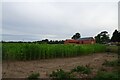 Field south of the Poplars in PE12 8FD