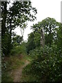 Path in High Wood in NG34 8QT